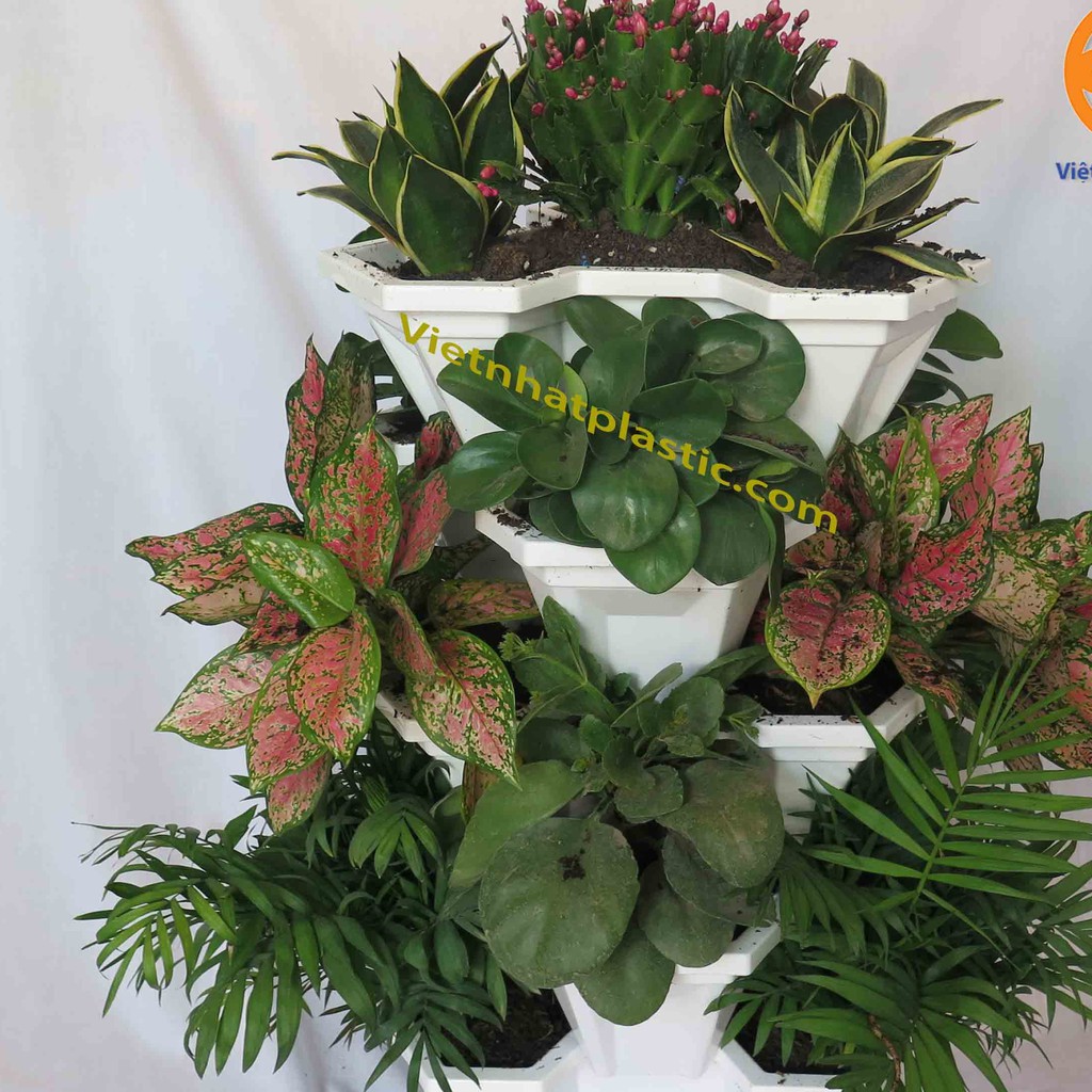 Combo tháp trồng cây, trồng dâu tây 5 chậu 1 tháp