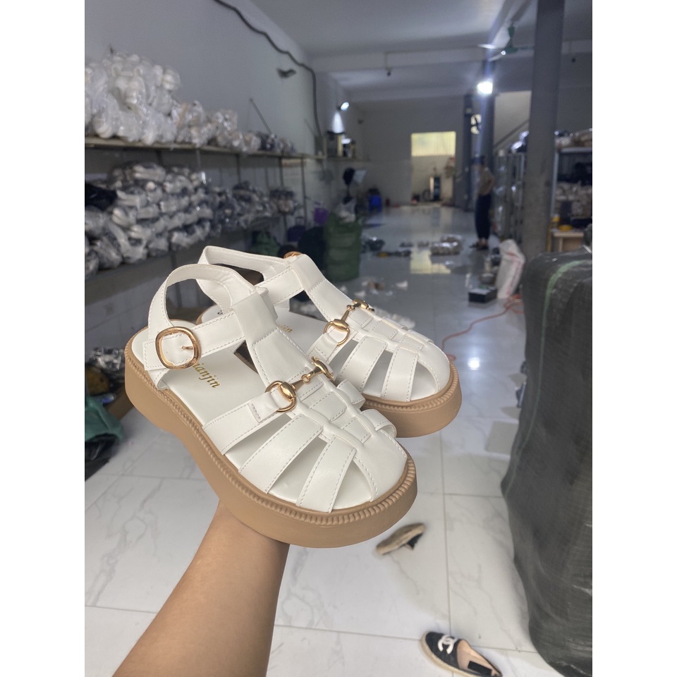 Sandan rọ gắn sích cao 5 phân mẫu mới hót