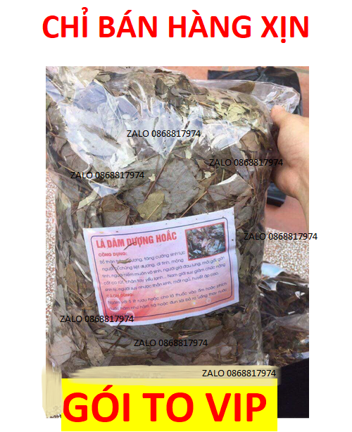 4BỘ LÁ DÂM DƯƠNG HOẮC NÚI CAO NAM TRIỀU-BỔ THẬN-TRÁNG DƯƠNG-TRI. ĐAU LƯNG-NHỨC MỎI-MẤT NGỦ-SINH LY' NAM/NỮ-YÊU' LDDH 1.4