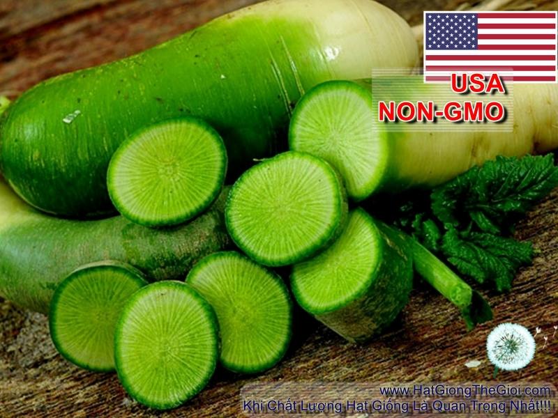 20h Hạt Giống Củ Cải Xanh KIMCHI (A1.103| C30*W64*M007)