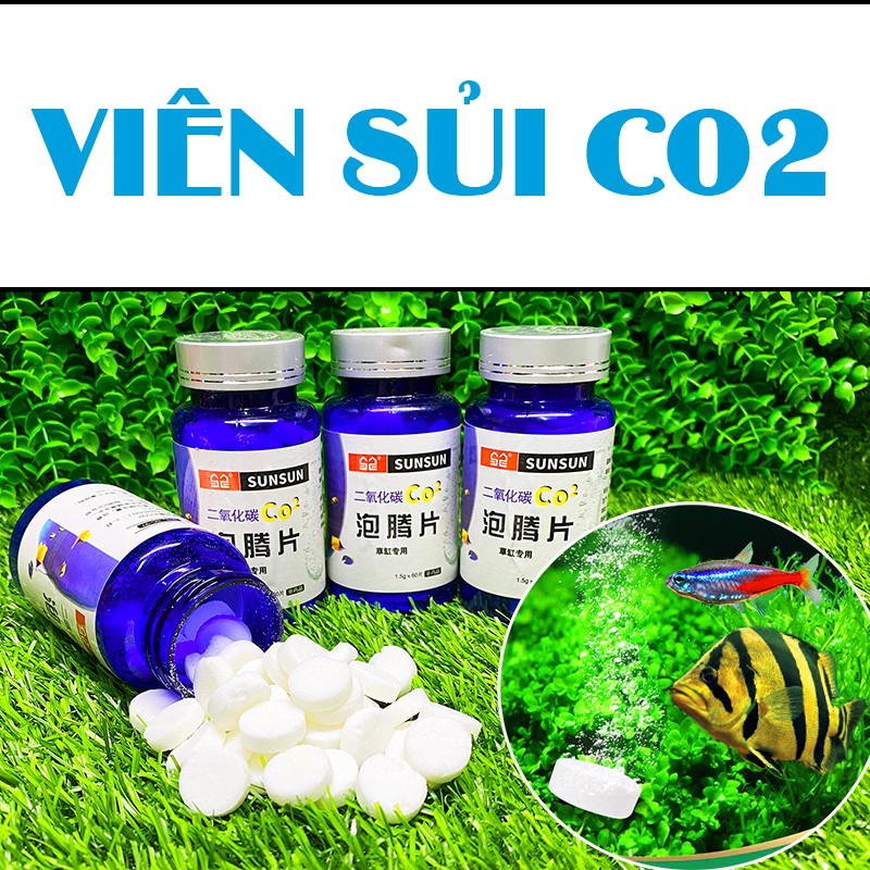 Viên Sủi CO2 - Cung Cấp CO2 Cho Hồ Thuỷ Sinh