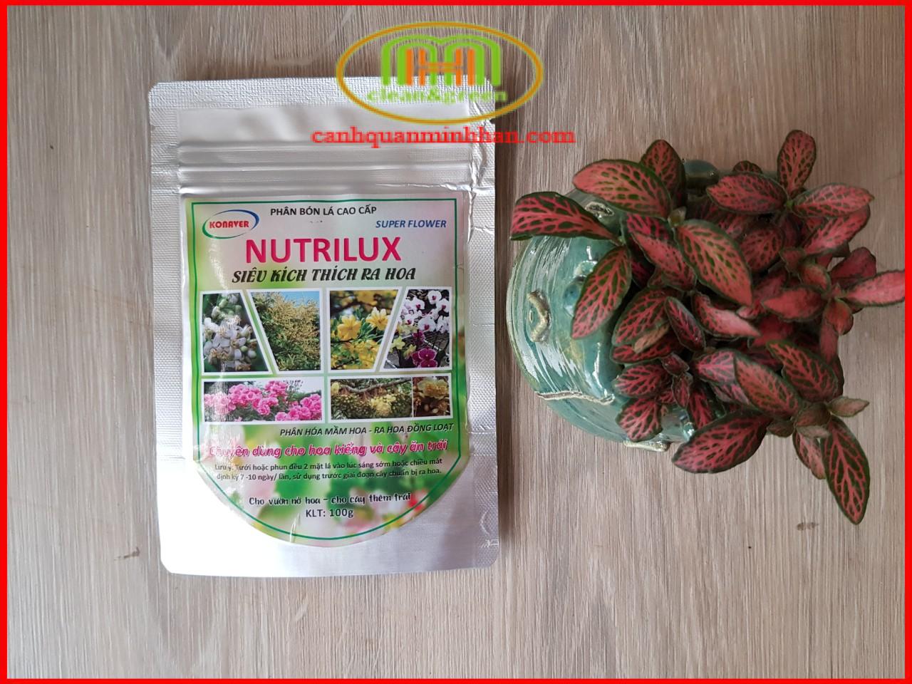 Phân bón kích thích ra hoa cho lan Nutrilux Super Flower gói 100g đặc biệt cho Mai vàng Tết Minh Hân Garden