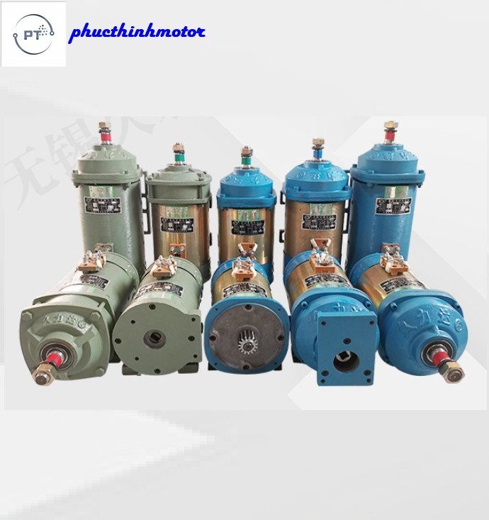 Động cơ motor 48V-60V 1000W chổi than