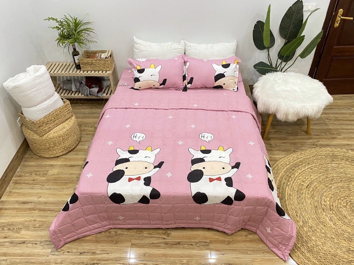 Chăn hè COTTON POLY trần bông 3 lớp (Được chọn mẫu)