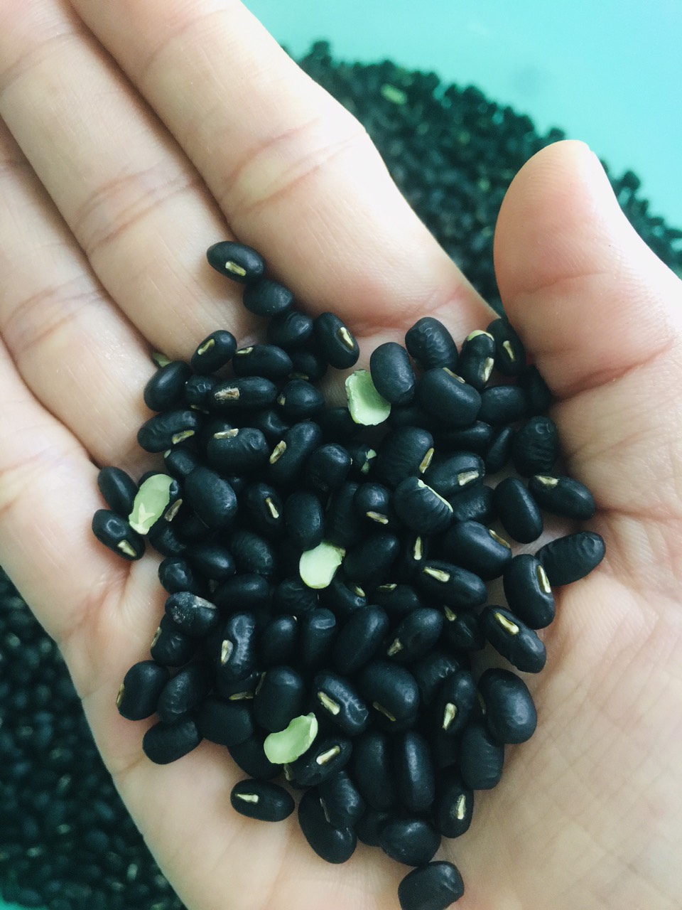 1 kg đậu đen xanh lòng ( đậu quê đại Lộc)