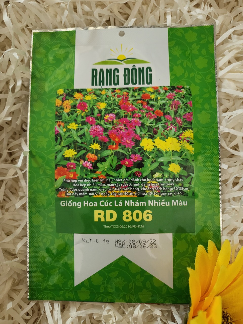 Hạt giống cúc lá nhám nhiều màu