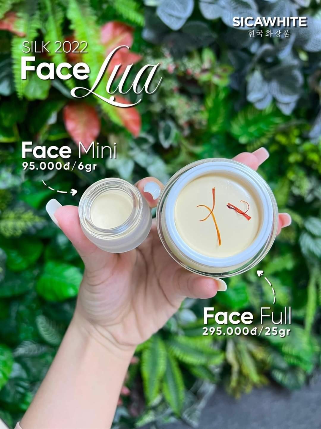 Face lụa sica kem d ư ỡ n g t r ắ n g da