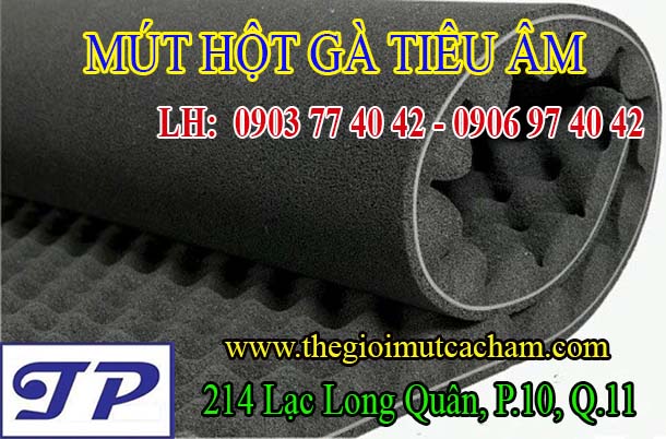 Mút trứng gà tiêu âm cách âm - Dày 3cm - KT : 1m6 x 2m