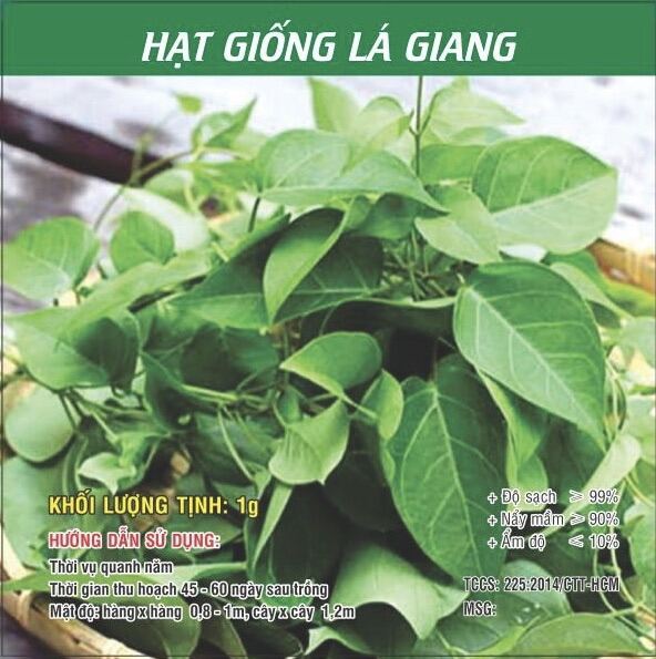 Hạt Giống Lá Giang