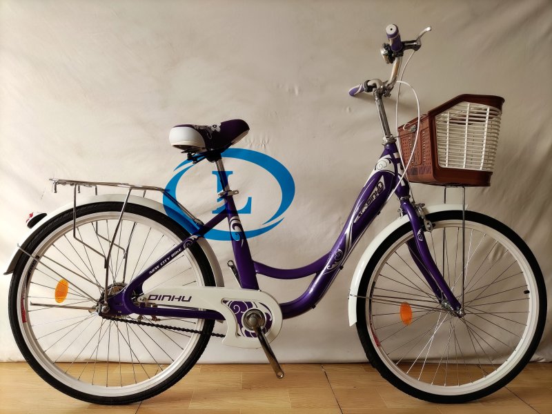 Mua Xe đạp 24 inch nữ DINDU xe đạp nữ cáo 1m4 đến 1m6