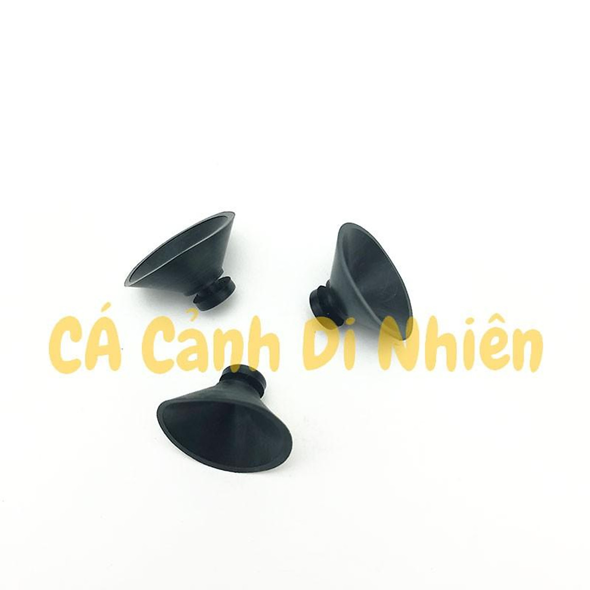 Hít kính GIỮ MÁY BƠM LỌC NƯỚC cho hồ cá cảnh