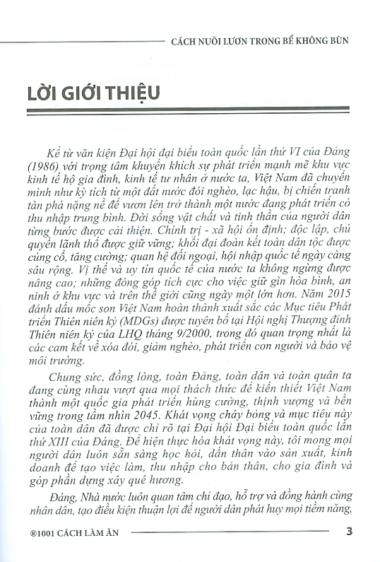 Cách nuôi Lươn trong bể không bùn