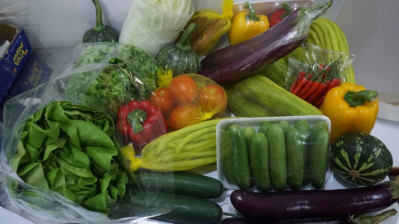 Dưa Leo FAFA 500gr/túi