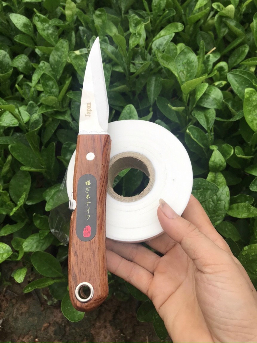 Dao ghép cây và giấy ghép tự hủy