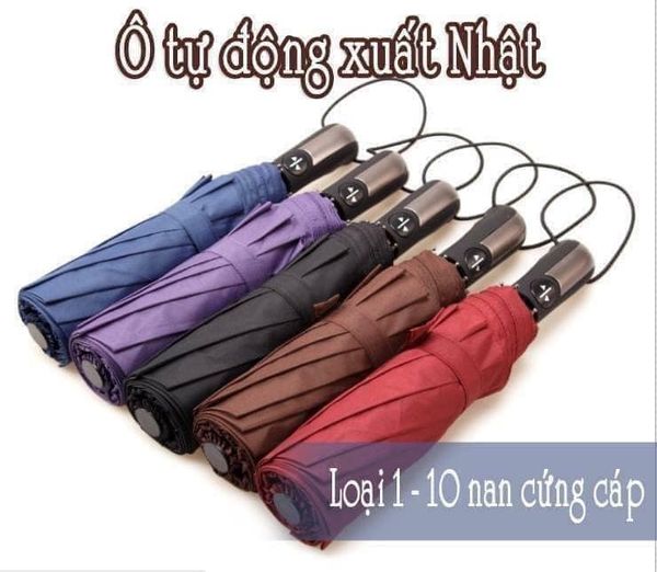 Ô tự gấp Nhật Bản