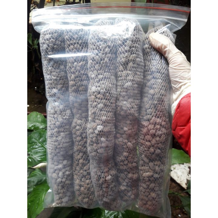 Combo 5 thanh phân dê 10cm BÓN LAN siêu chất lượng