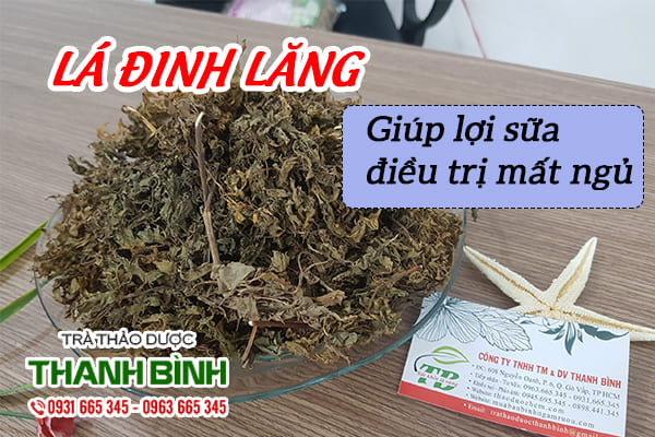 Lá Đinh Lăng Khô 1KG - Đông Y Thanh Bình
