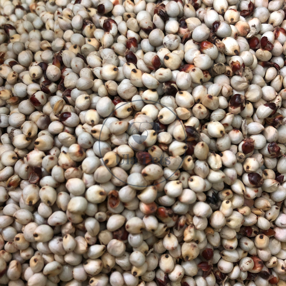 0.5KG - Bo bo trắng nguyên hạt