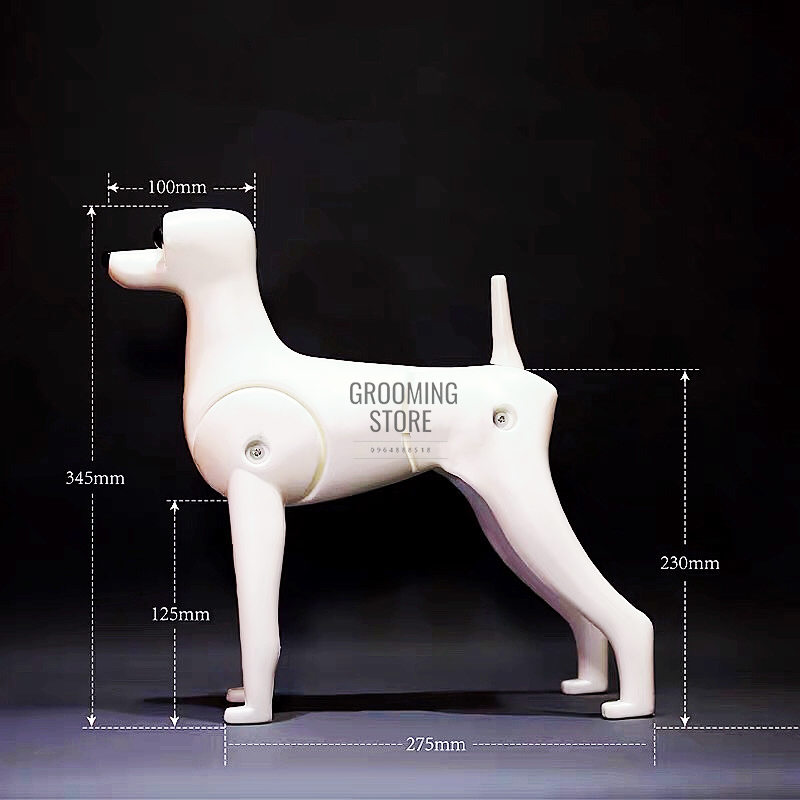 Lông chó mẫu - Mô hình chó mẫu giảng dạy và thực hành cắt tỉa thú cưng