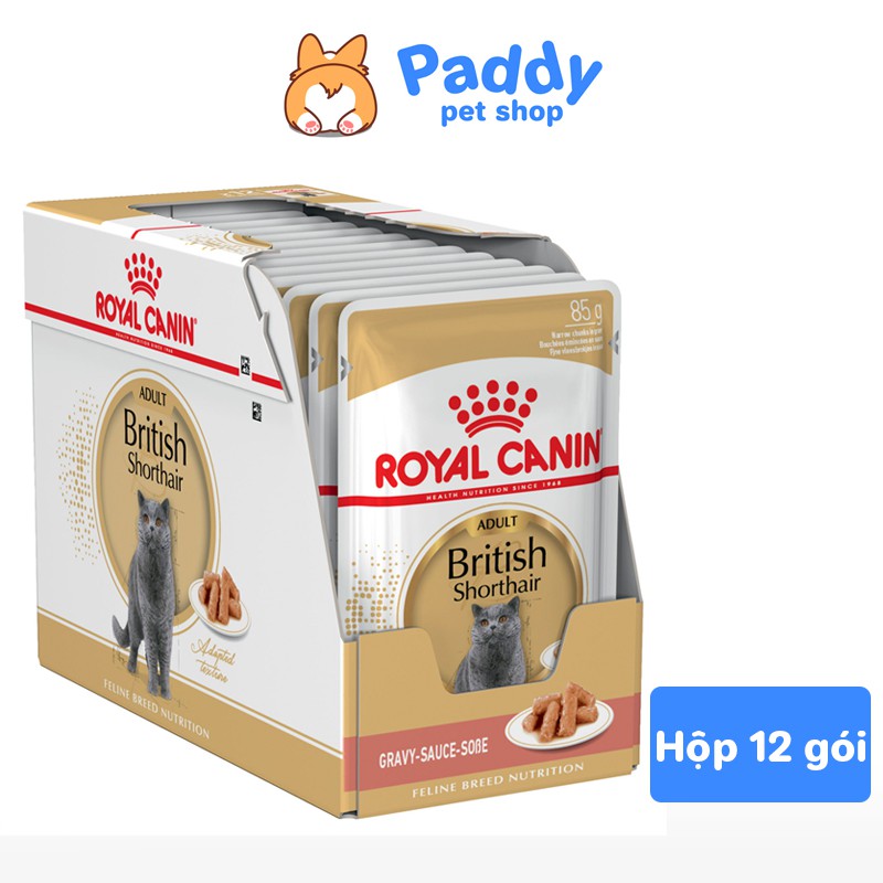 Pate Cho Mèo Anh Lông Ngắn Trưởng Thành Royal Canin British Shorthair Adult