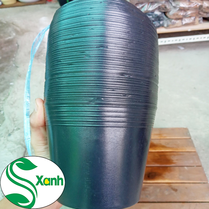 50 Chậu Nhựa Đen Trồng Cây C6