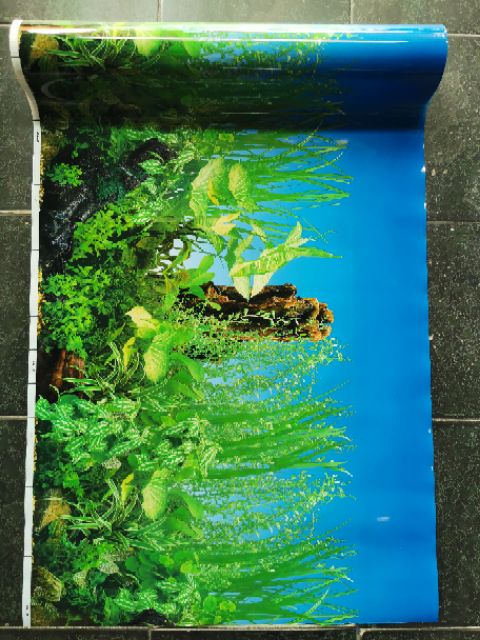 [HCM]Tranh dán hồ cá cao 60cm x1m