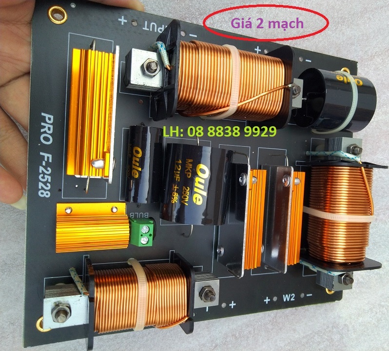 PHÂN TẦN FULL ĐÔI CÔNG SUẤT LỚN PRO F2528 - GIÁ 2 MẠCH