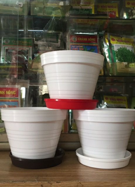 dĩa lót chậu cây đường kính 14cm