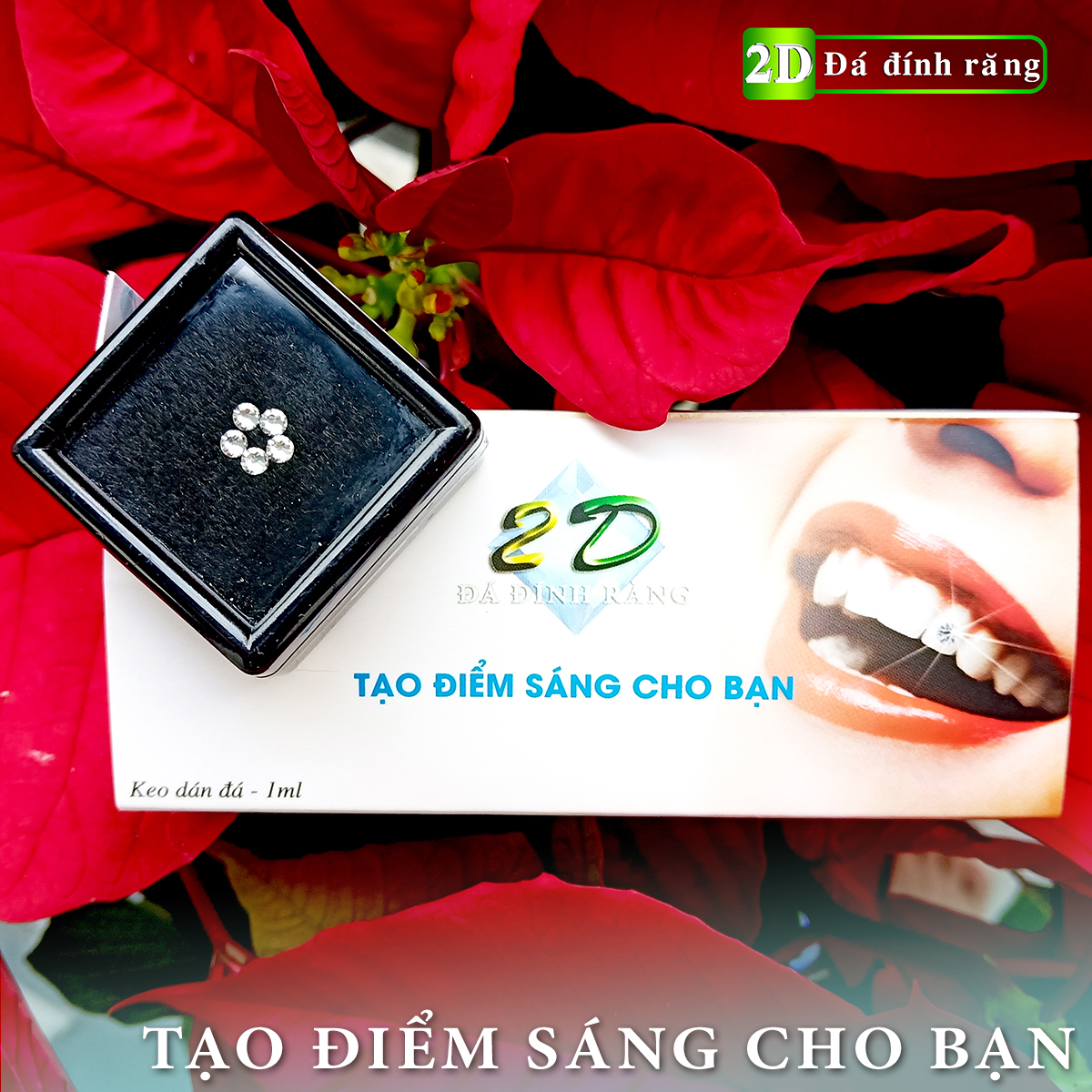 [HCM] Đá dán răng loại vừa (5 viên 2.5LY + keo dán + bút gắn)