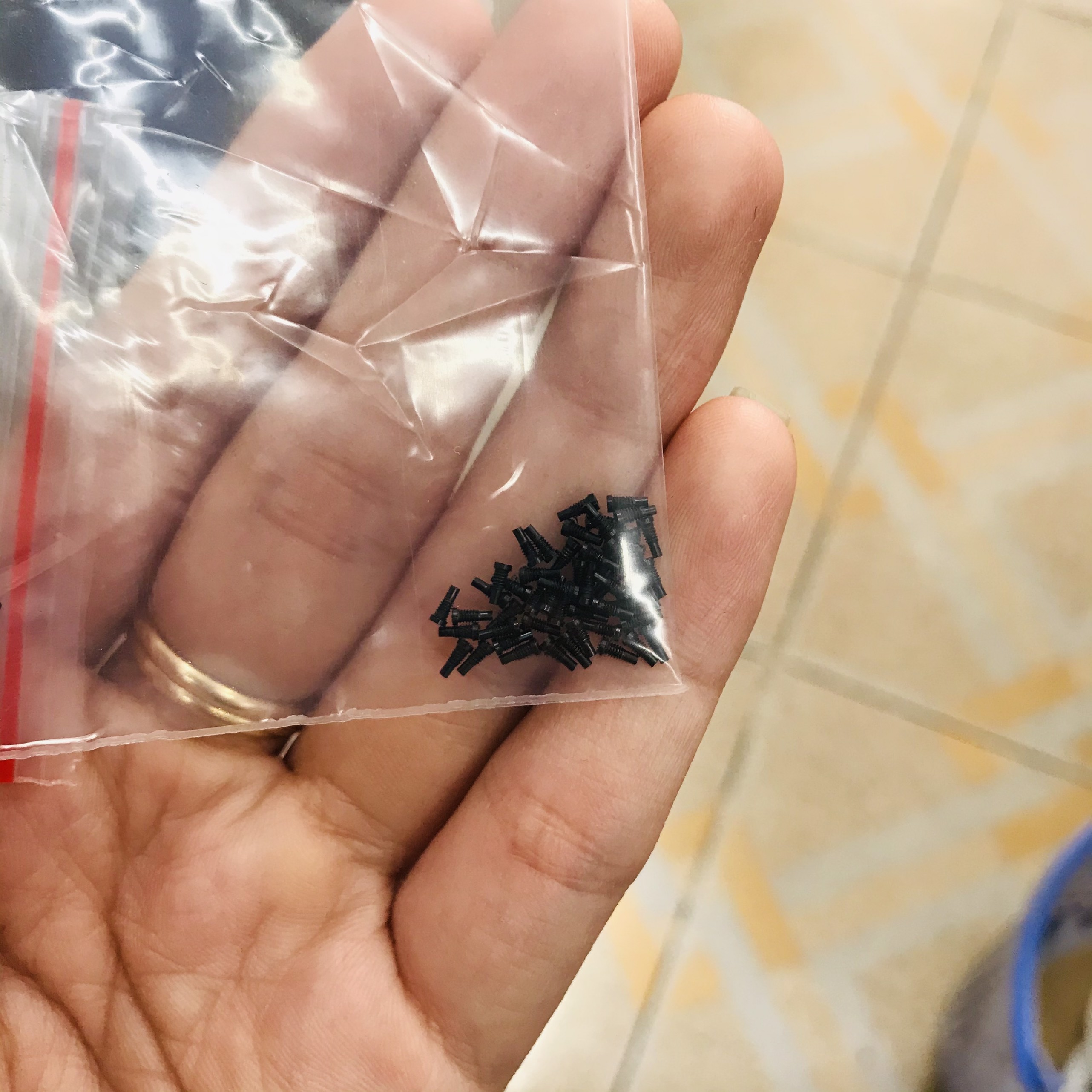 Combo 2 con Ốc đáy , Ốc đít , ốc đuôi táo 8G /8 plus chất lượng , giá tốt