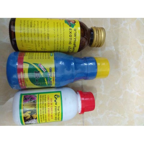 Combo kích rễ dưỡng cây Exotic - B1 Grow more 100ml tặng chai dịch trùn quế chuyên phong lan 105ml