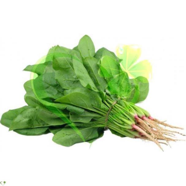 Hạt giống cải bó xôi - gói 5 gram