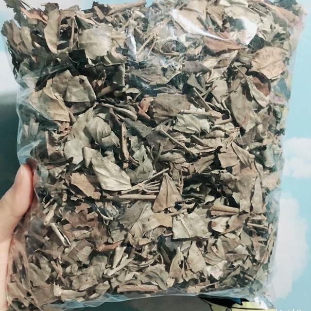 Lá khổ sâm khô 500g GT323