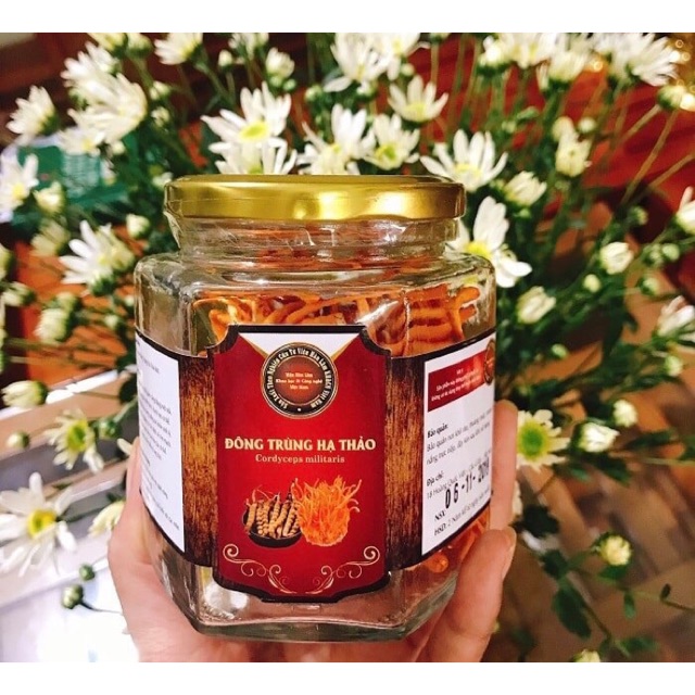 Đông Trùng Hạ Thảo Việt Nam