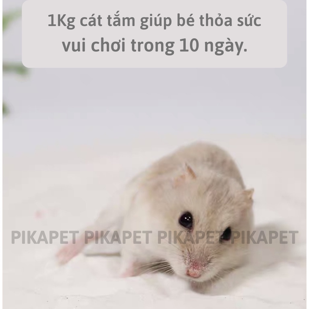 ✅Cát tắm thơm cho Hamster HOT SALE
