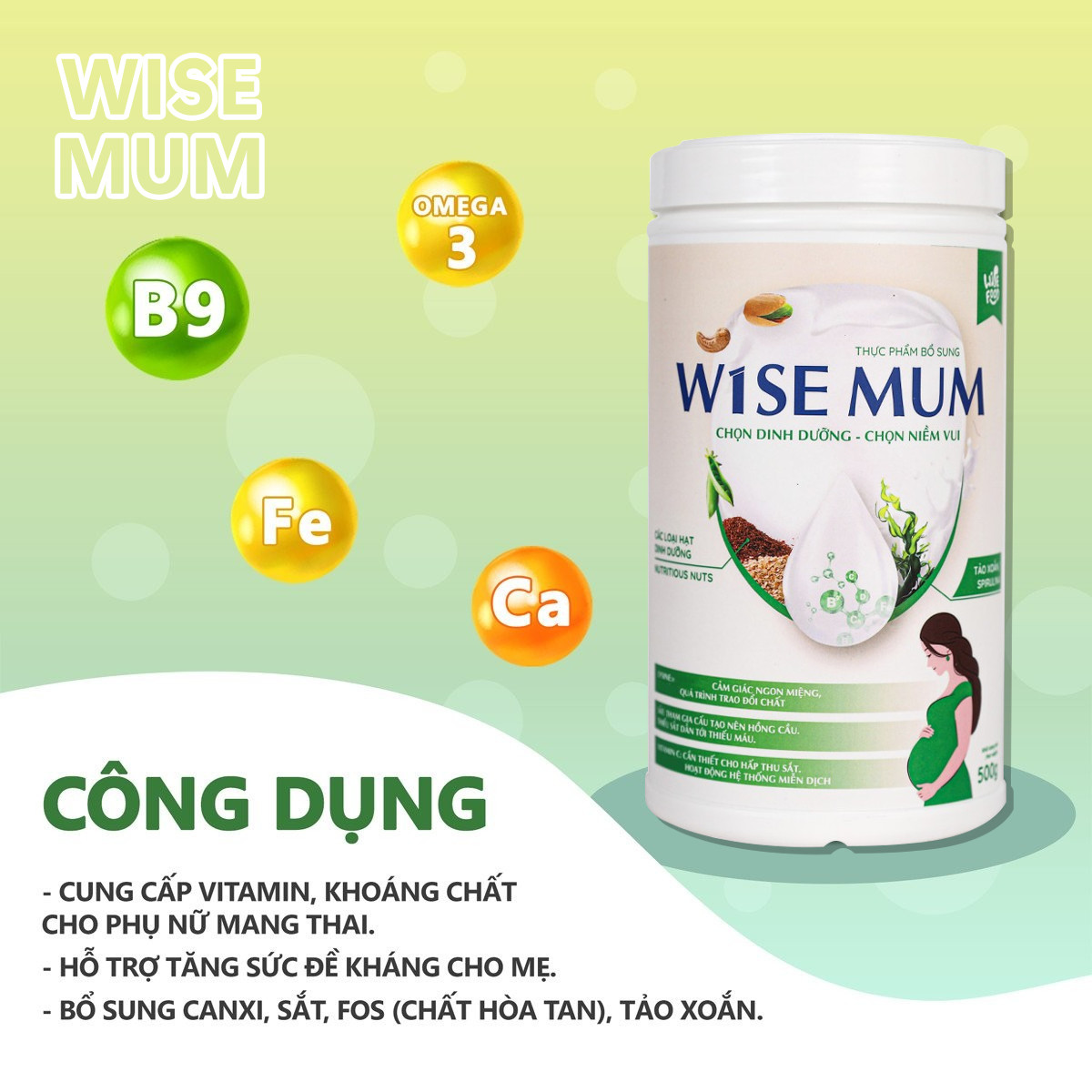 Wise Mum - Sữa Hạt Dinh Dưỡng Wise Food 500g