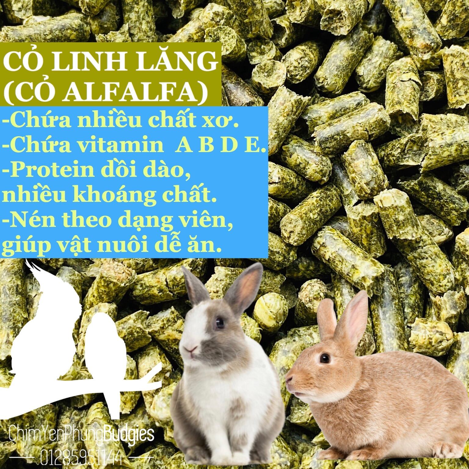 1kg cỏ linh lăng dinh dưỡng cao cho GÀ ĐÁ, BỒ CÂU, THỎ BỌ...