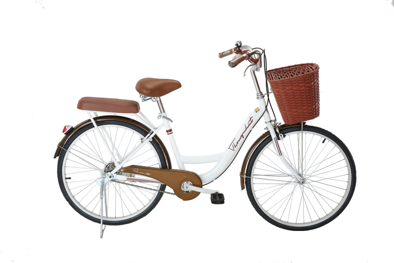 Mua Xe đạp mini Thống Nhất Đủ Màu NEW24 / New26inch