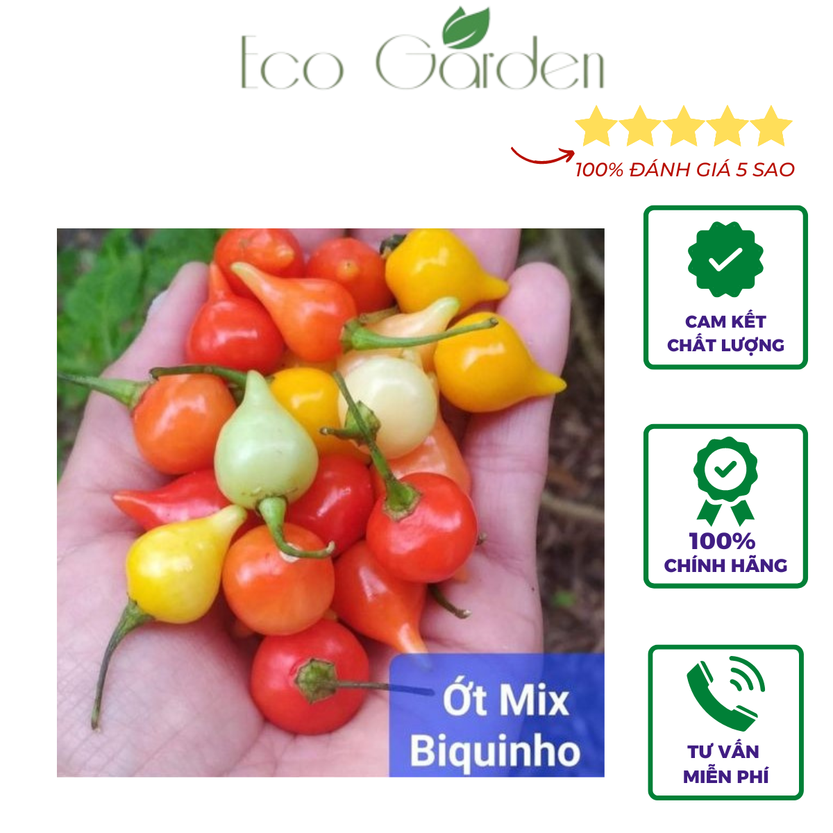 Hạt Giống Ớt Biquinho mix nhập Mỹ