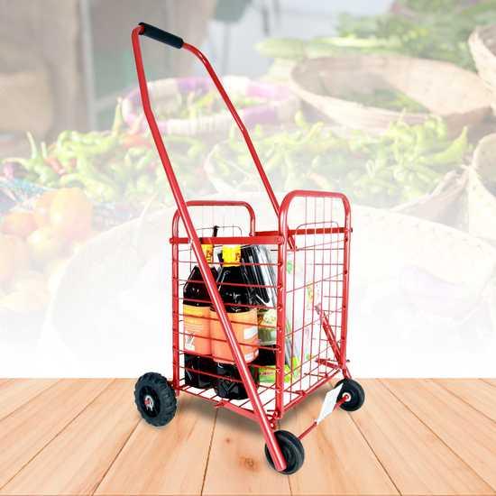 Small Multi-Purpose Shopping Cart
