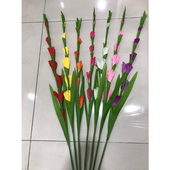 combo 10 củ  Hoa lay ơn đủ màu
