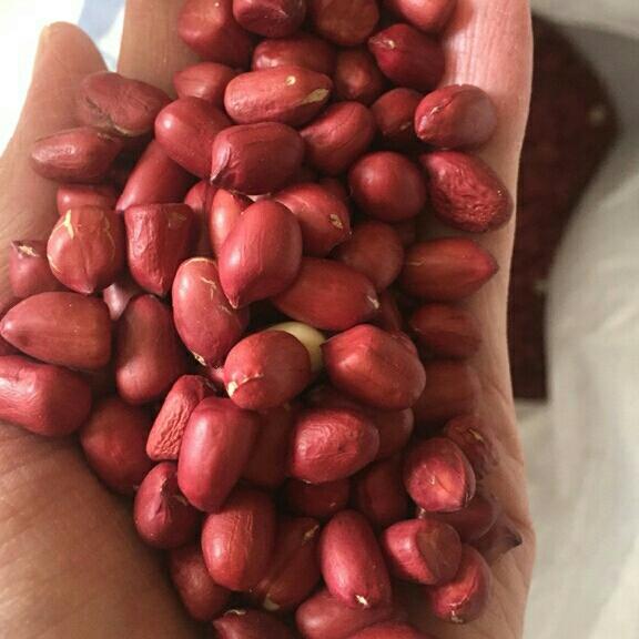 1kg lạc rang đã tách vỏ