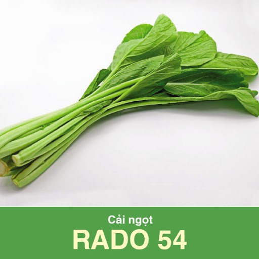 20 Gram Bịch Hạt Giống Cải Ngọt Rạng Đông