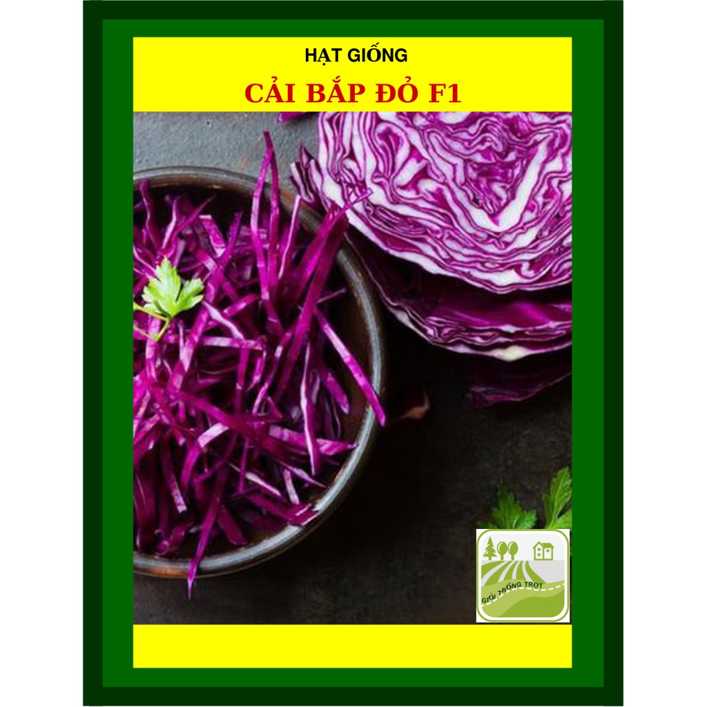 1G - Hạt Giống Cải Bắp Đỏ
