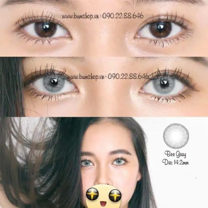 Lens Xam Tay 0 6 Ä'á»™ Bee Gray Lens Han Vassen Sexyme Mua Ban Trá»±c Tuyáº¿n Kinh Ap Trong Co Mau Vá»›i Gia Ráº» Lazada Vn