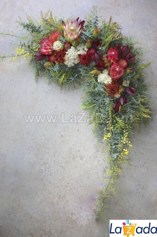 50h Hạt Giống Cây Mimosa Lá Me (| -KD: B21*X55*M224)