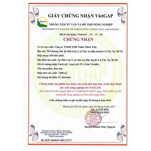 Bột Diếp Cá nguyên chất Quảng Thanh 100g
