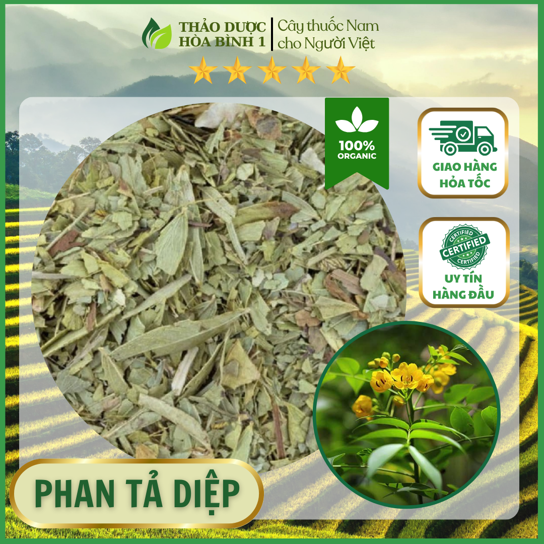 1 kg lá phan tả diệp khô hàng đẹp chuẩn xịn.