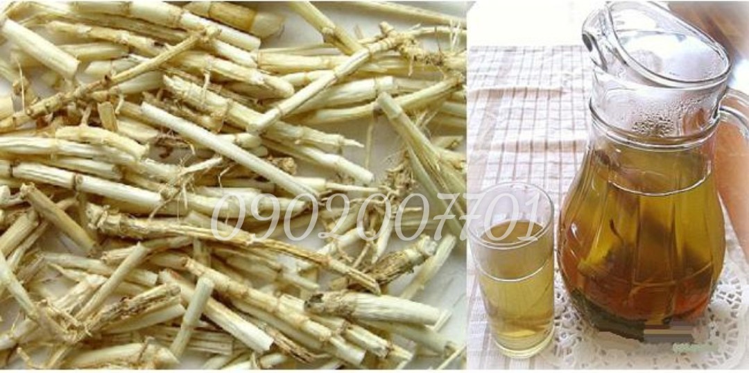 Rễ Cỏ Tranh (Bạch Mao Căn, Rễ Cỏ Gianh) 100g/200g/300g/500g