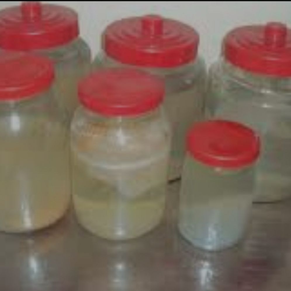giấm nuôi(con giấm) nhà làm (giấm ăn)1 keo 500ml
